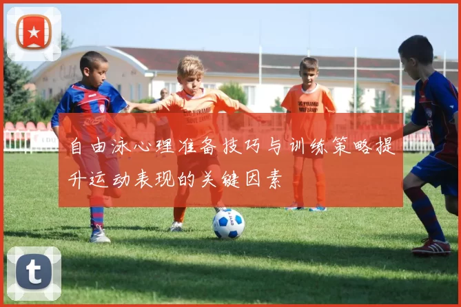 自由泳心理准备技巧与训练策略提升运动表现的关键因素