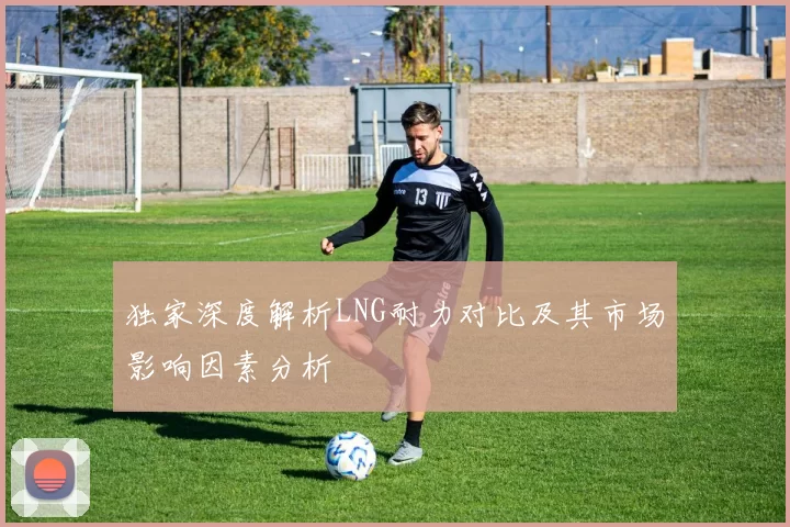 独家深度解析LNG耐力对比及其市场影响因素分析