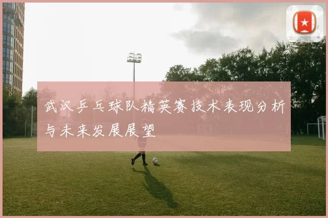 武汉乒乓球队精英赛技术表现分析与未来发展展望