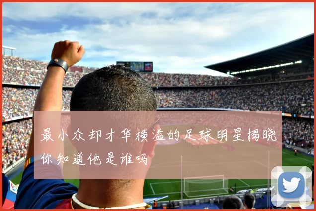 最小众却才华横溢的足球明星揭晓你知道他是谁吗