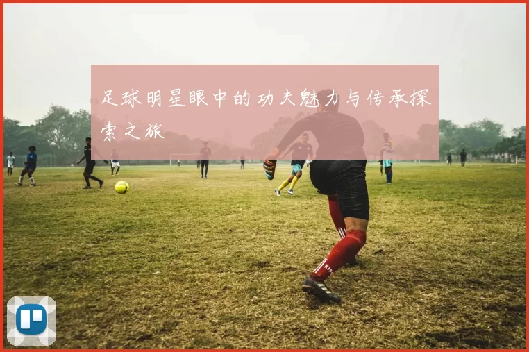 足球明星眼中的功夫魅力与传承探索之旅