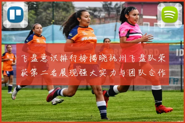 飞盘意识排行榜揭晓杭州飞盘队荣获第二名展现强大实力与团队合作精神