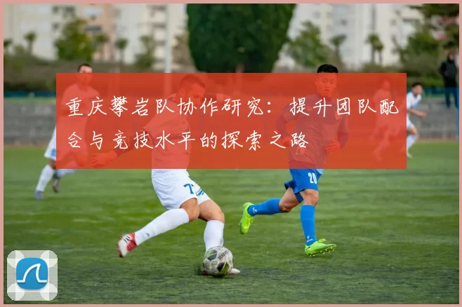 重庆攀岩队协作研究：提升团队配合与竞技水平的探索之路