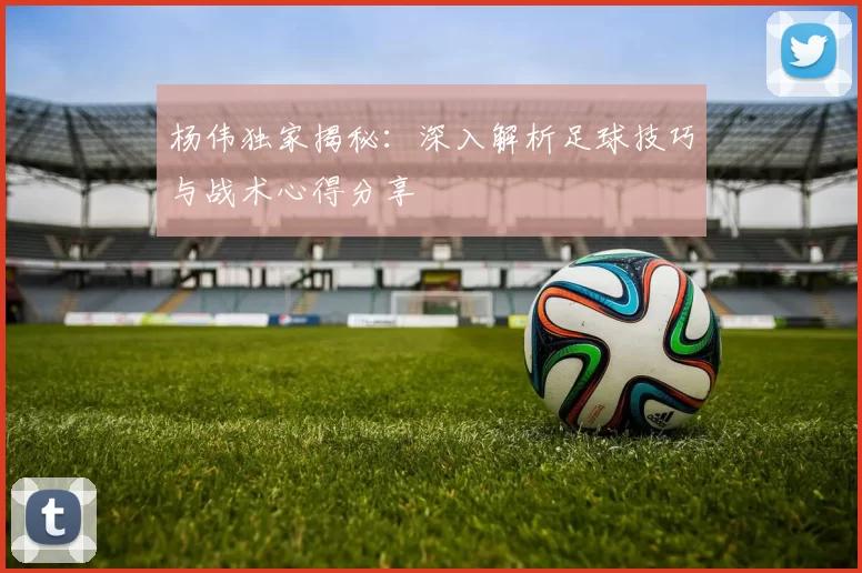 杨伟独家揭秘：深入解析足球技巧与战术心得分享