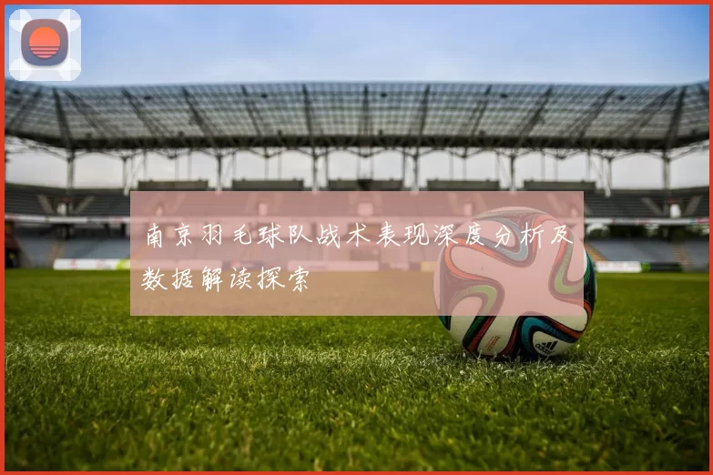 南京羽毛球队战术表现深度分析及数据解读探索
