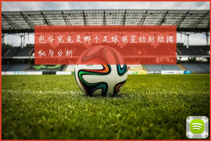 包谷究竟是哪个足球明星的别称揭秘与分析