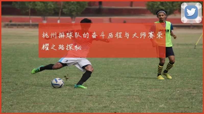 杭州排球队的奋斗历程与大师赛荣耀之路探秘