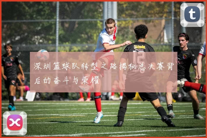 深圳篮球队转型之路揭秘总决赛背后的奋斗与荣耀