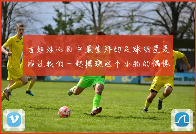 吉娃娃心目中最崇拜的足球明星是谁让我们一起揭晓这个小狗的偶像之谜