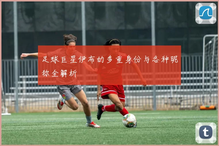 足球巨星伊布的多重身份与各种昵称全解析