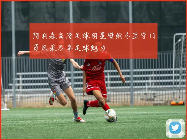 阿利森高清足球明星壁纸尽显守门员风采尽享足球魅力