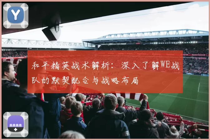 和平精英战术解析：深入了解WE战队的默契配合与战略布局