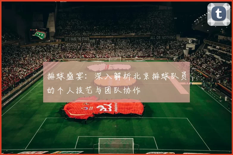 排球盛宴：深入解析北京排球队员的个人技艺与团队协作