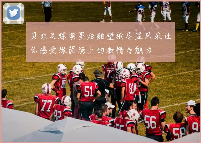 贝尔足球明星炫酷壁纸尽显风采让你感受绿茵场上的激情与魅力