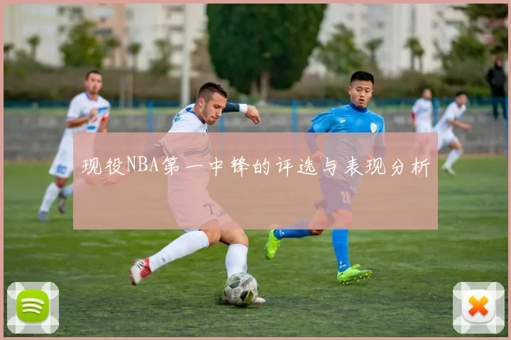 现役NBA第一中锋的评选与表现分析