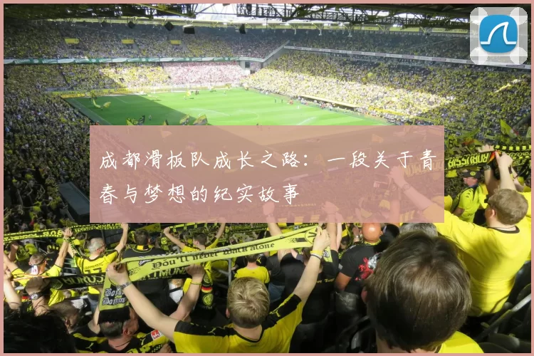 成都滑板队成长之路：一段关于青春与梦想的纪实故事