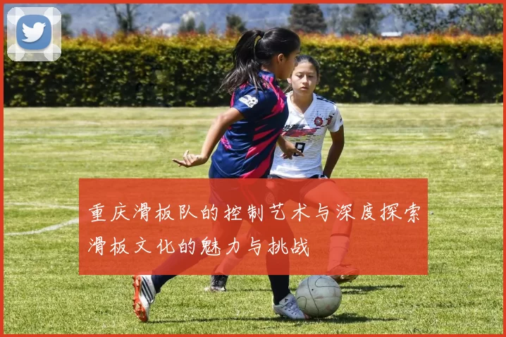 重庆滑板队的控制艺术与深度探索滑板文化的魅力与挑战